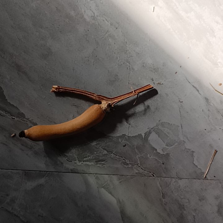 葫芦葫芦葫芦葫芦葫芦葫芦