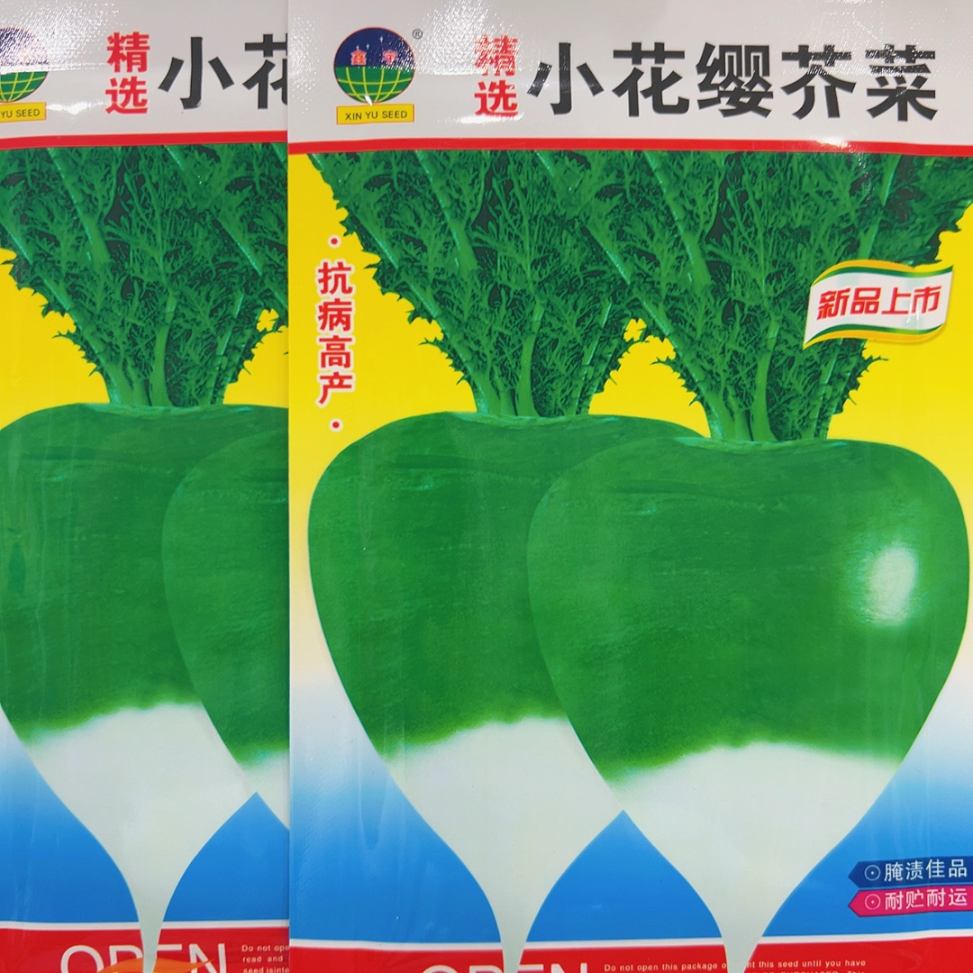 拍一发二 精选小花缨芥菜种子