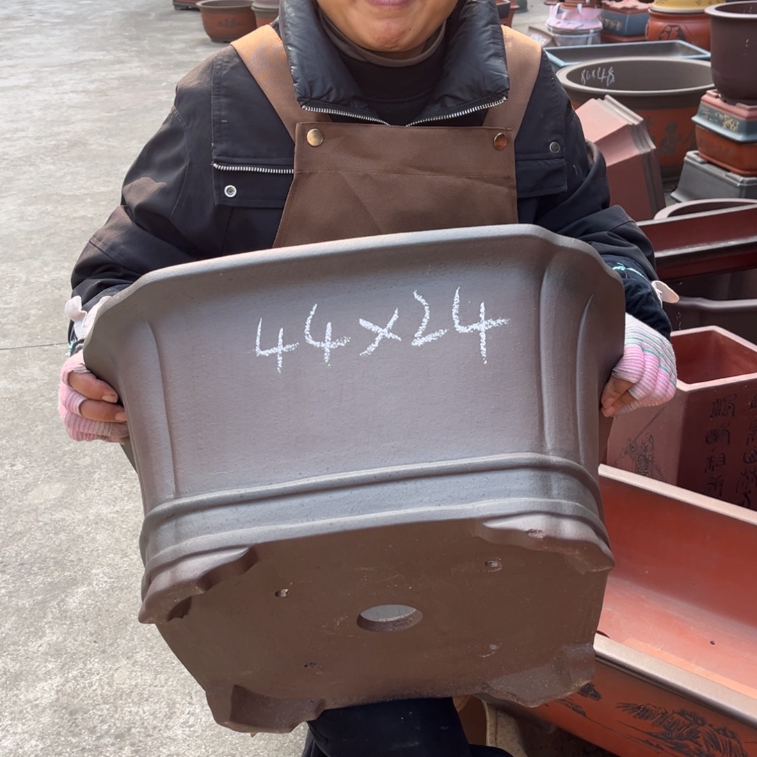 花盆紫砂盆景艺术