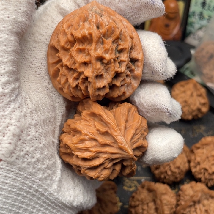 天***耶核桃44尺秦岭野生红皮帝王