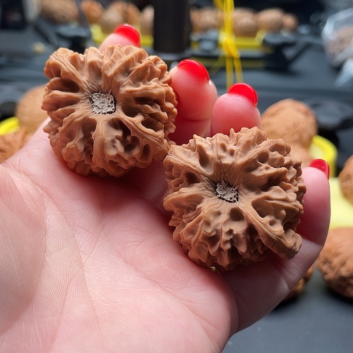 全品无修龙门涧42/40/43