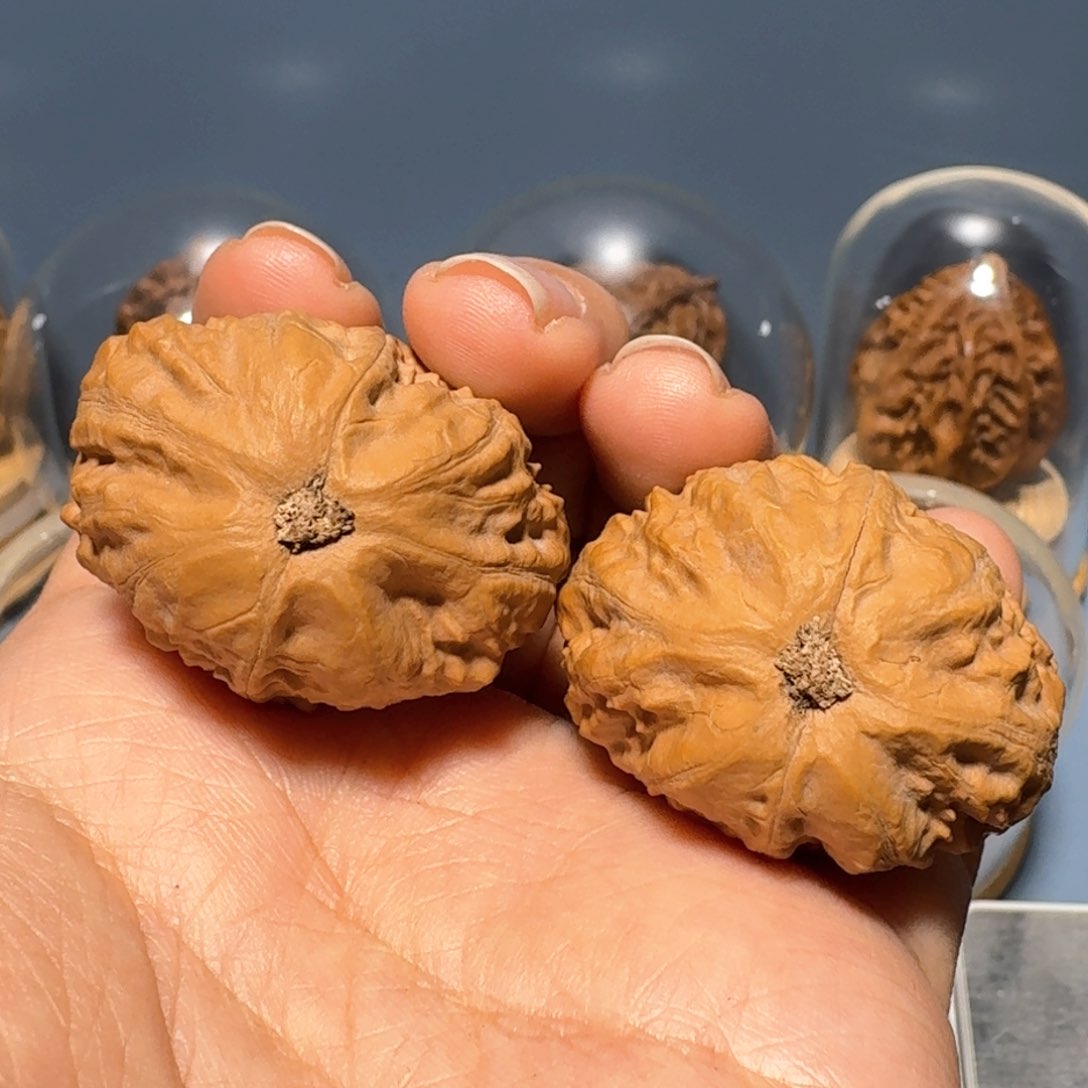 文玩核桃把件罗汉度