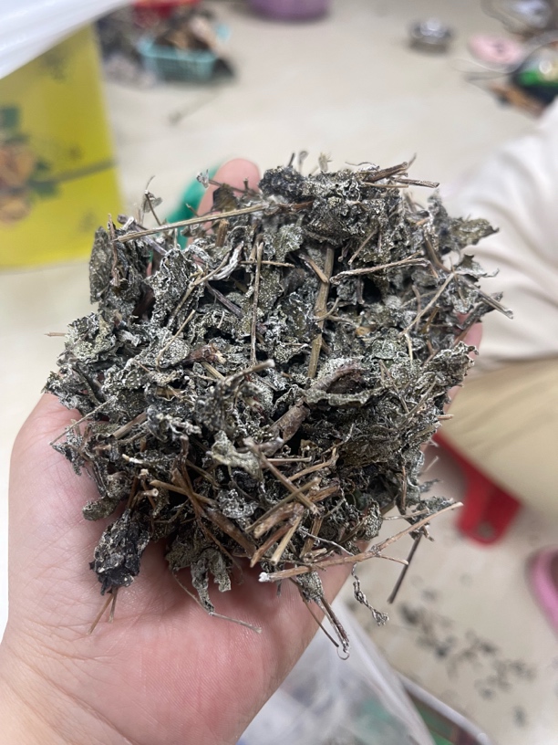 本地野生霉茶溪黄草茶越存越好喝250克起