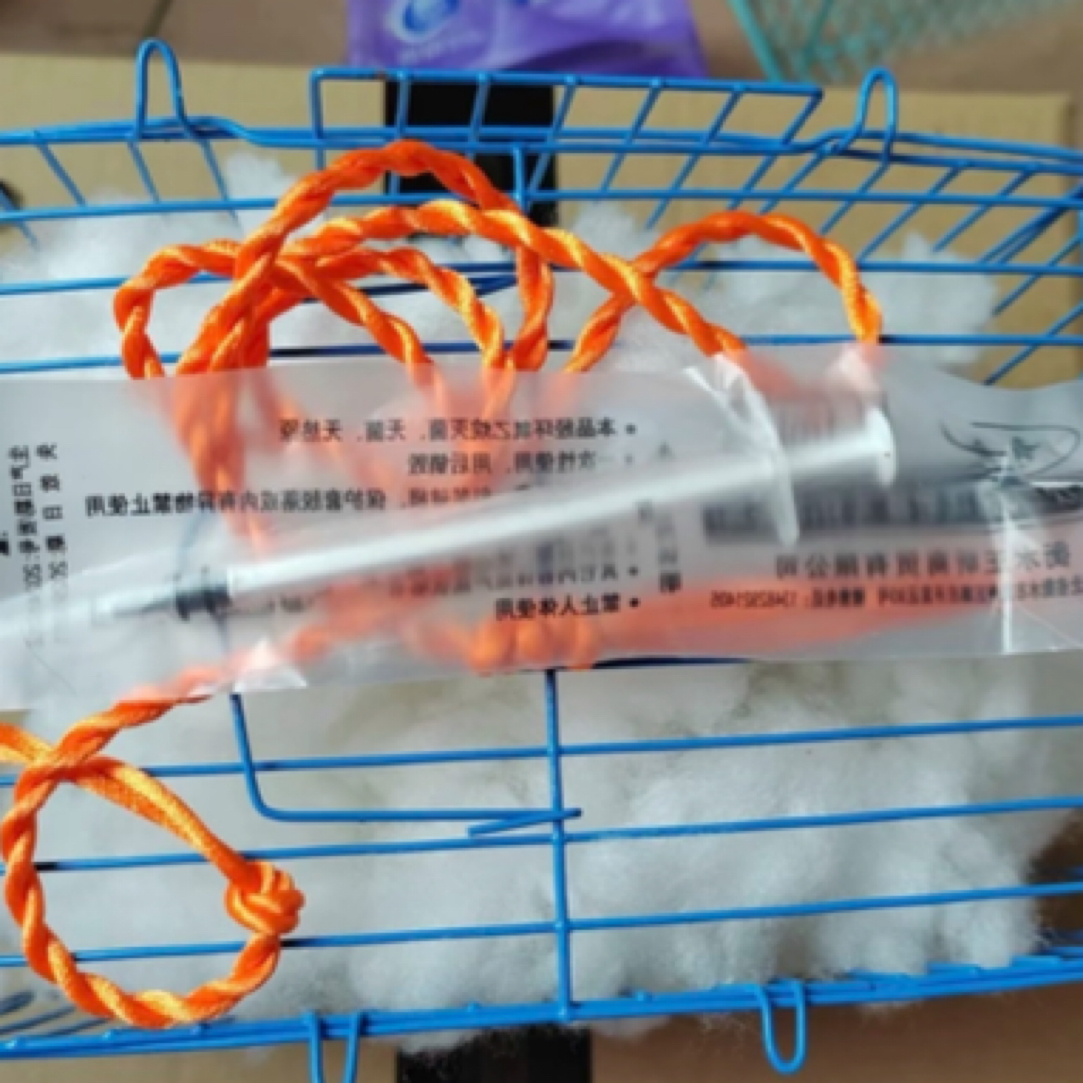 松鼠运输小笼子含牵引绳针管包运输风险