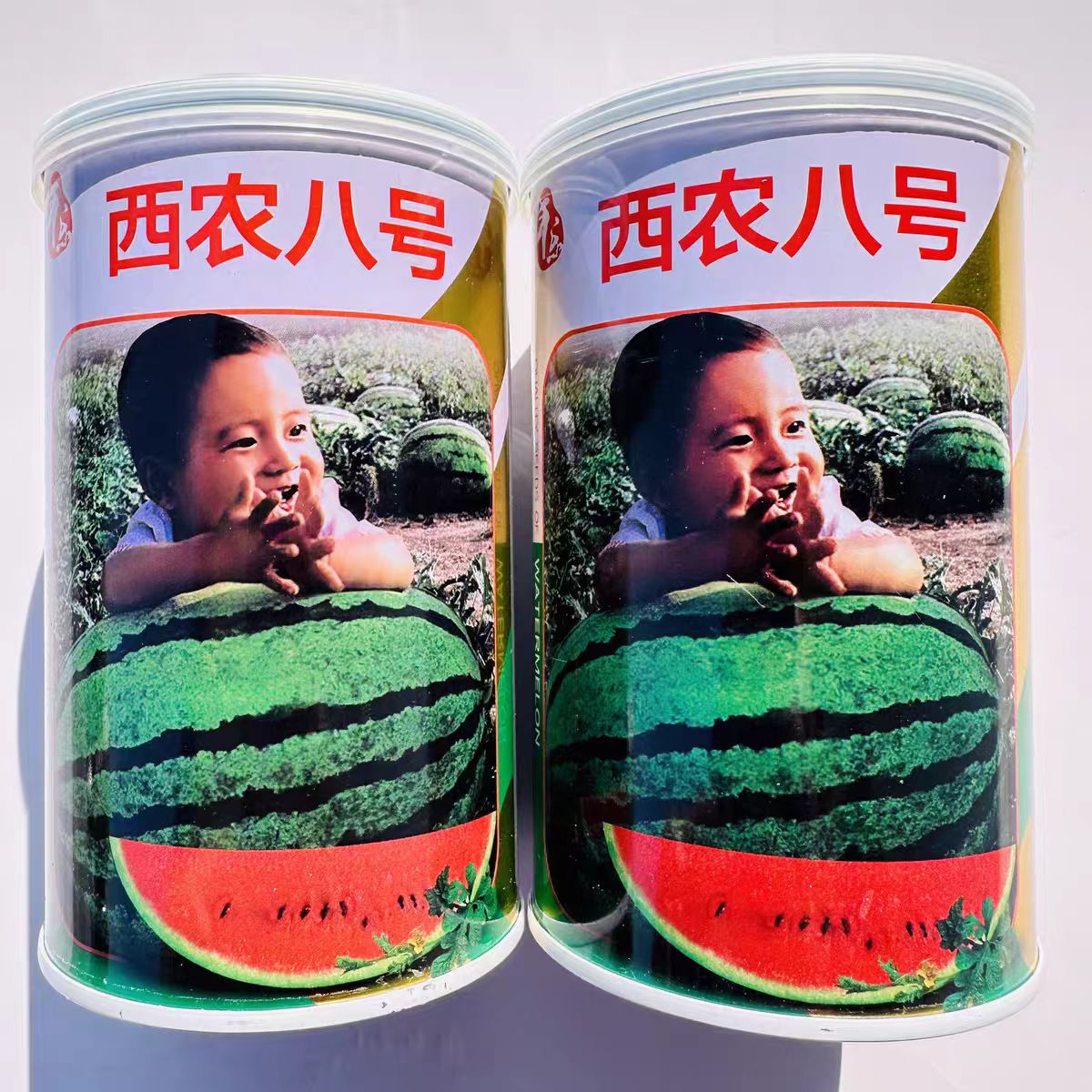 西农八号西瓜种子中熟花皮大果型高产超甜西瓜商品性好