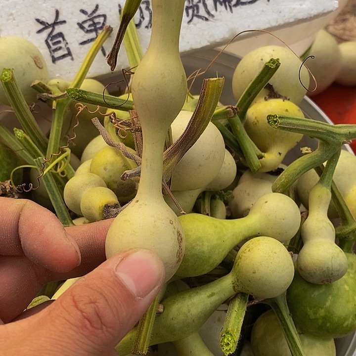 d*武护肤方法更好哈哈斤斤计较