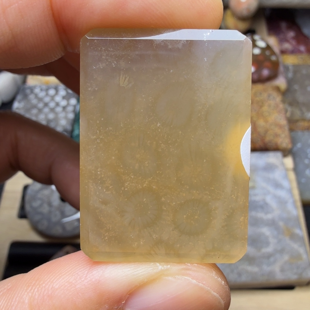 硅化玉未镶嵌纯天然色有机玉石保真色