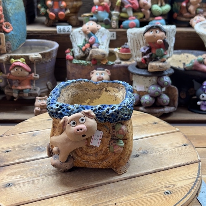 嘻哈多肉花盆百搭