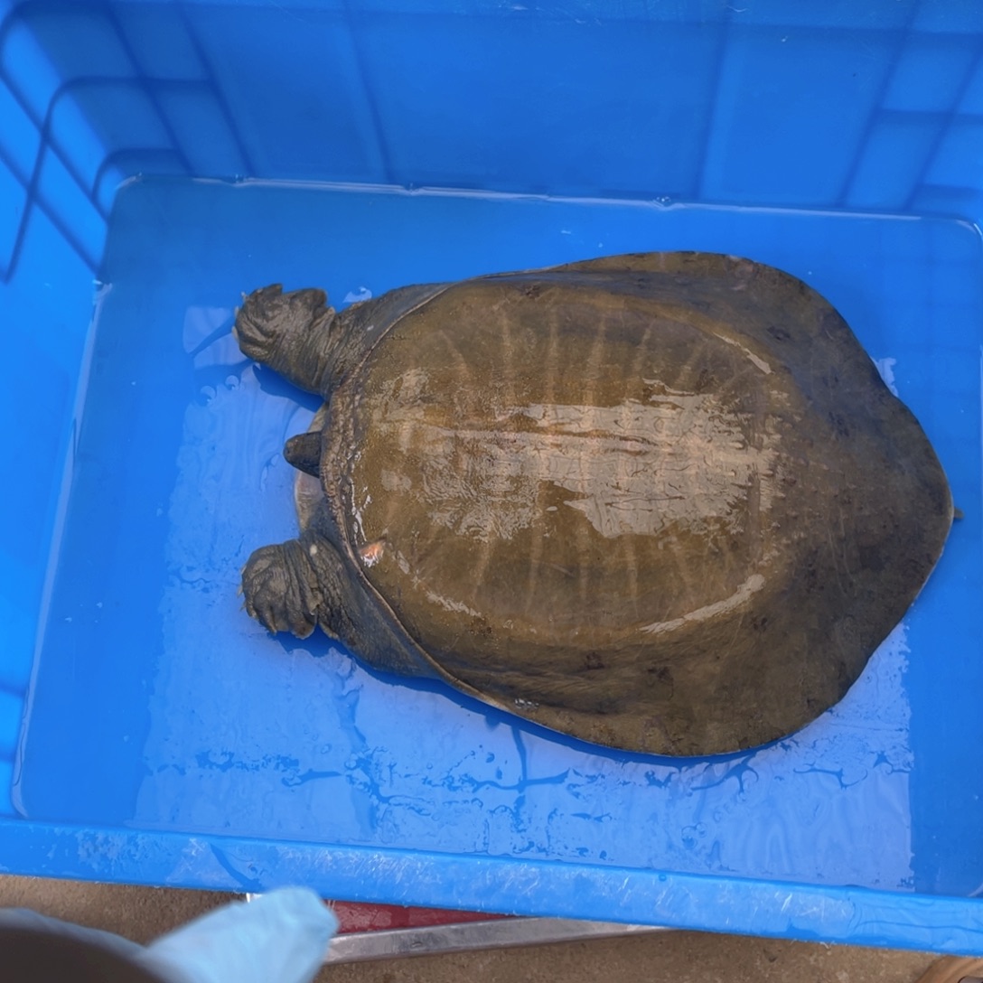 中国大陆12345678