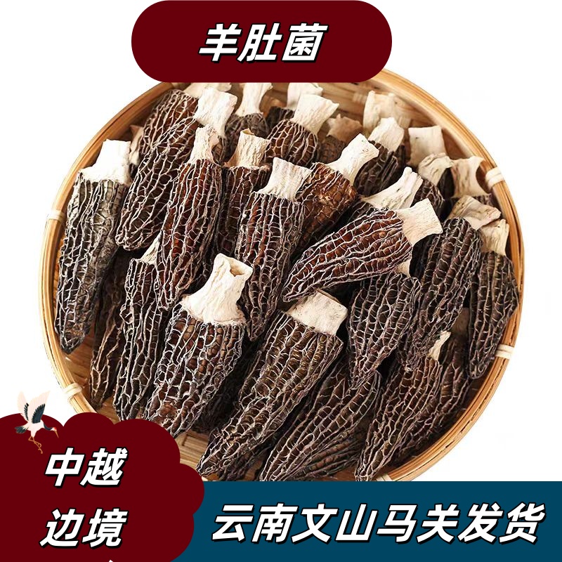 云南新货羊肚菌干货煲汤炒菜