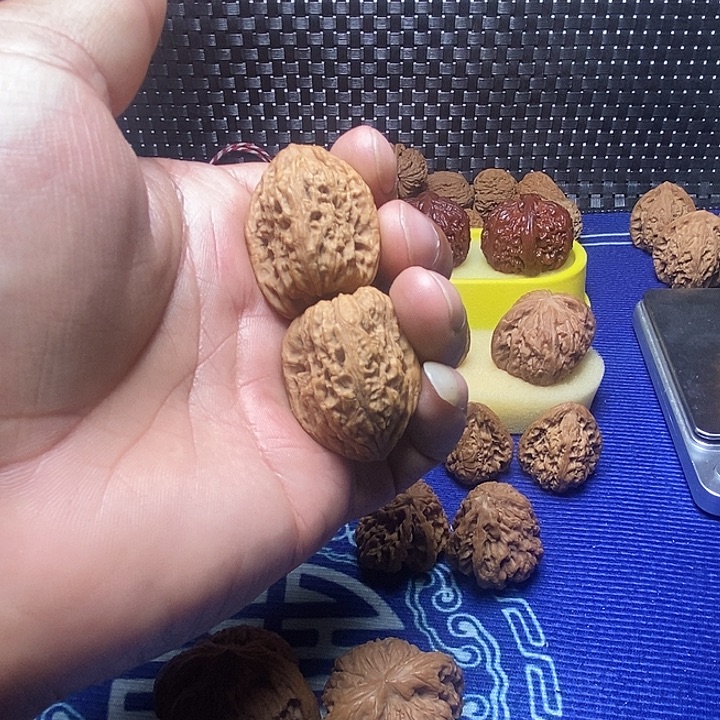 吃***惹28尺老树小南疆石
