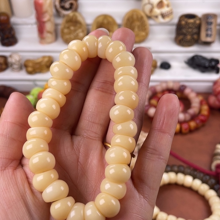 驼骨其他骆驼骨大肠12