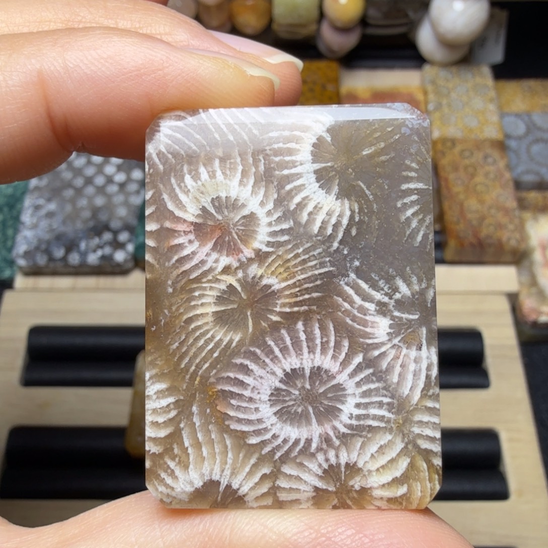 硅化玉未镶嵌蒲公英