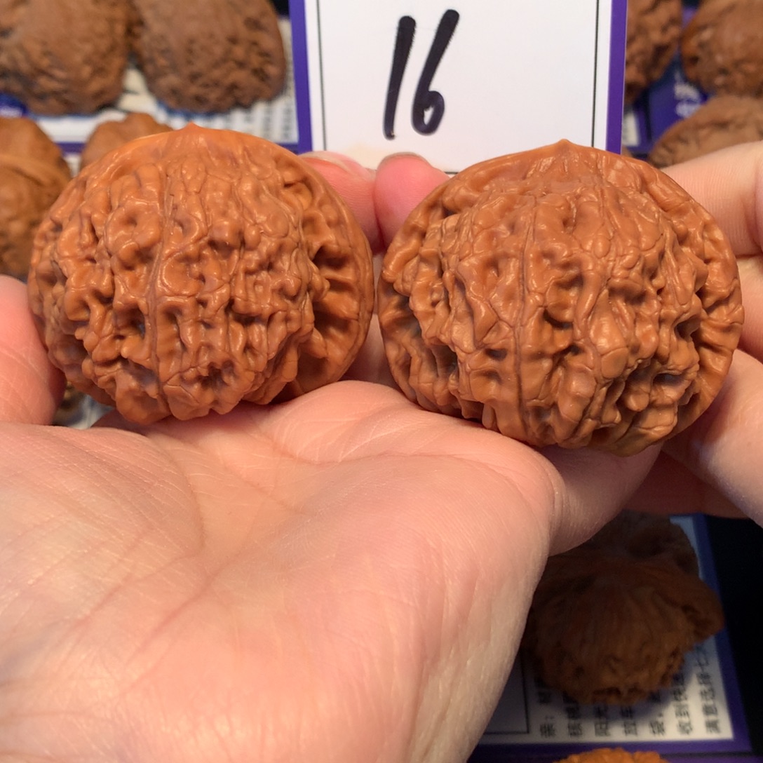 核桃16官帽5.2微修