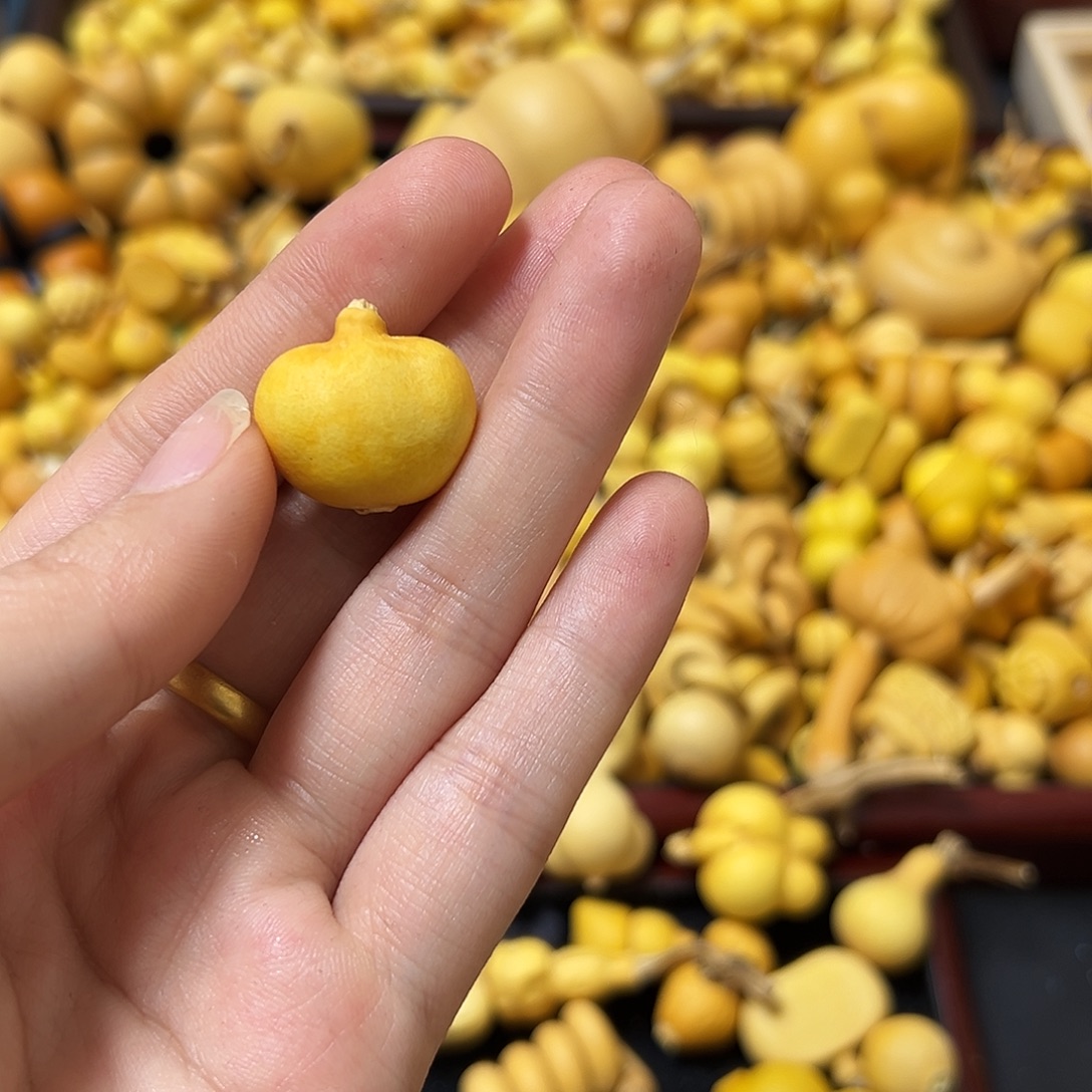 菓****葫芦葫芦葫芦葫芦