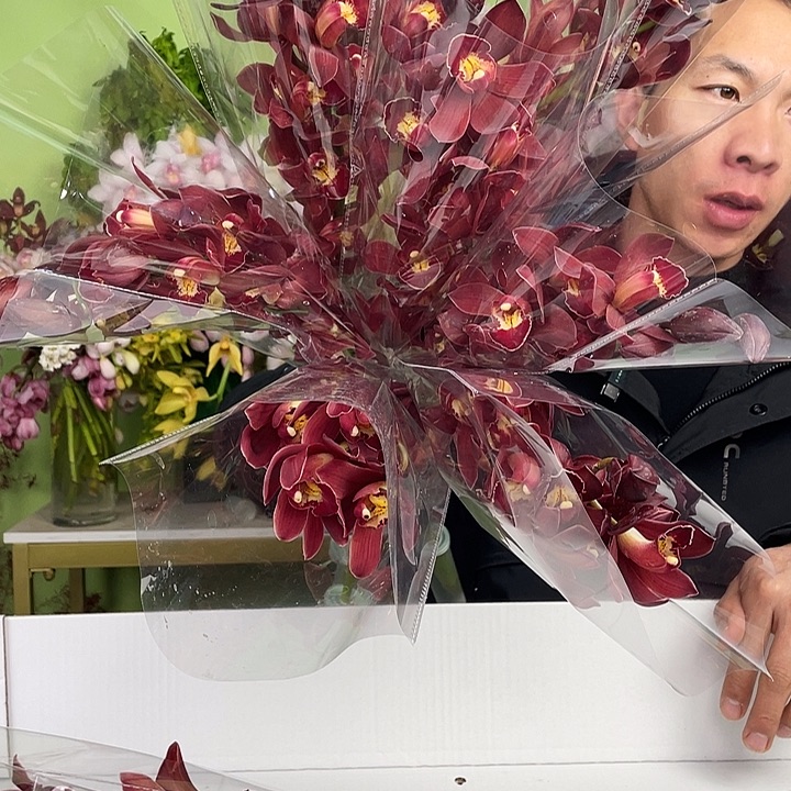 完全开放B级红宝石3支