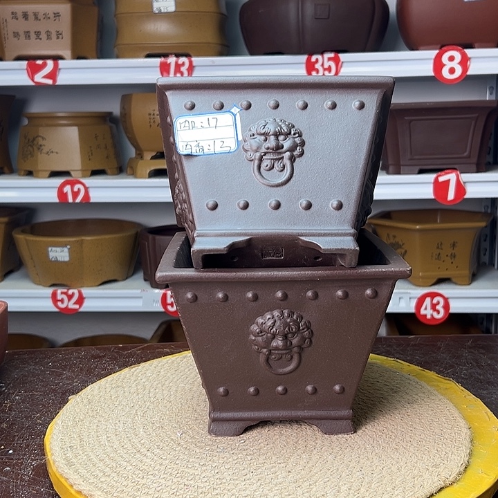 花盆紫砂你在一起