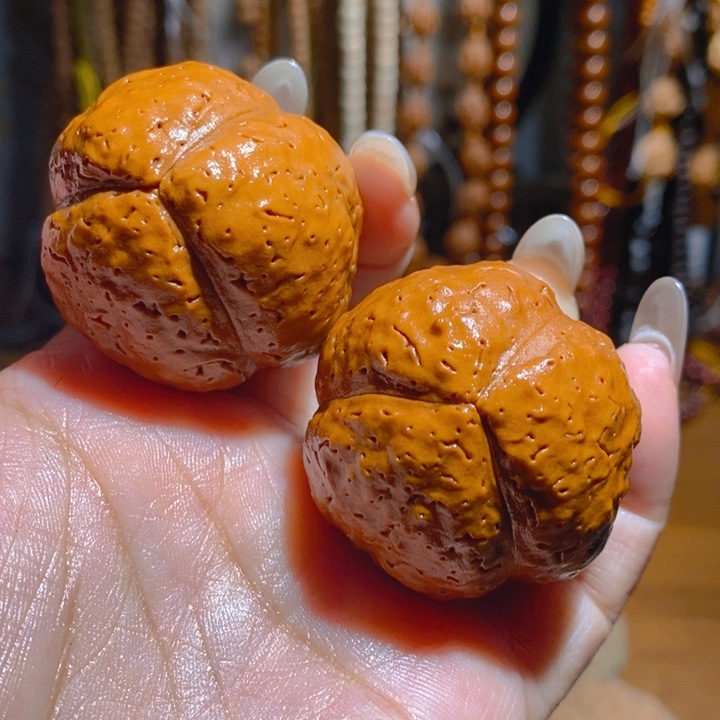 野生三瓣大金刚光头强3945