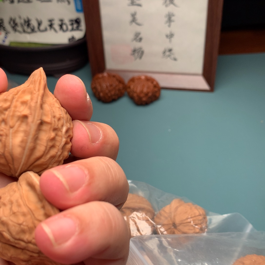 把件文玩核桃龟甲文