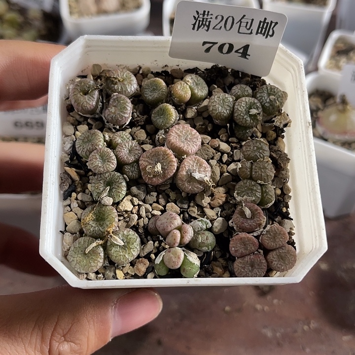 无花朵704、流水铜壶