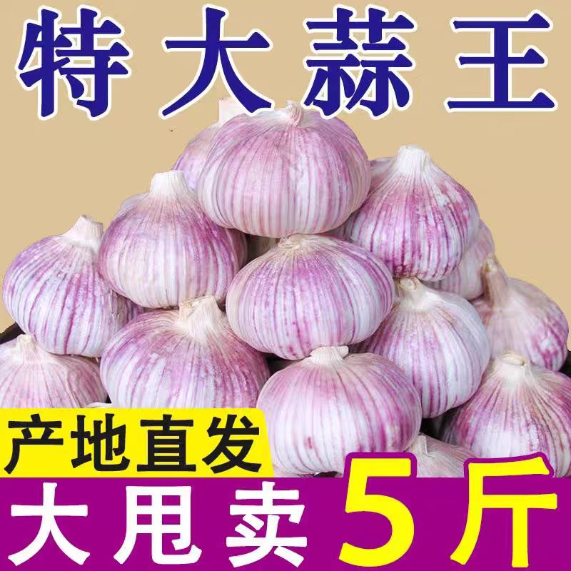 5斤亏本卖】干蒜大蒜紫白皮蒜山东金乡大蒜辛辣特香厨房必备食材