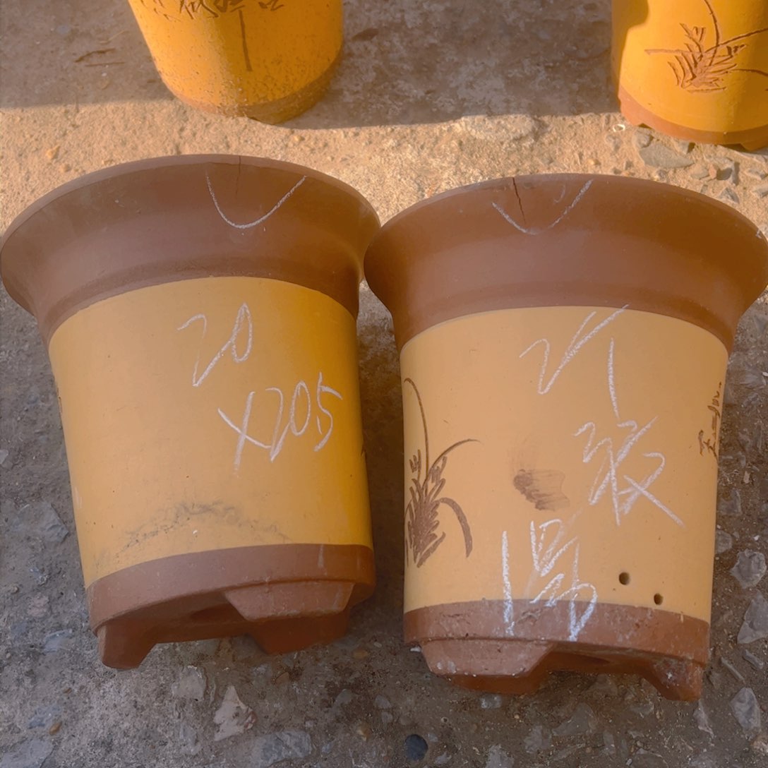 紫砂1好………………………………