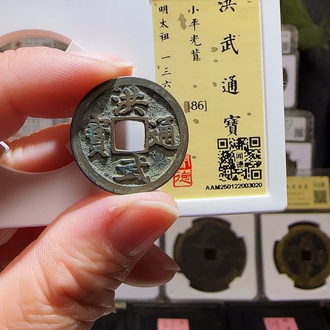 铜GY洪武通宝闻德86分3020