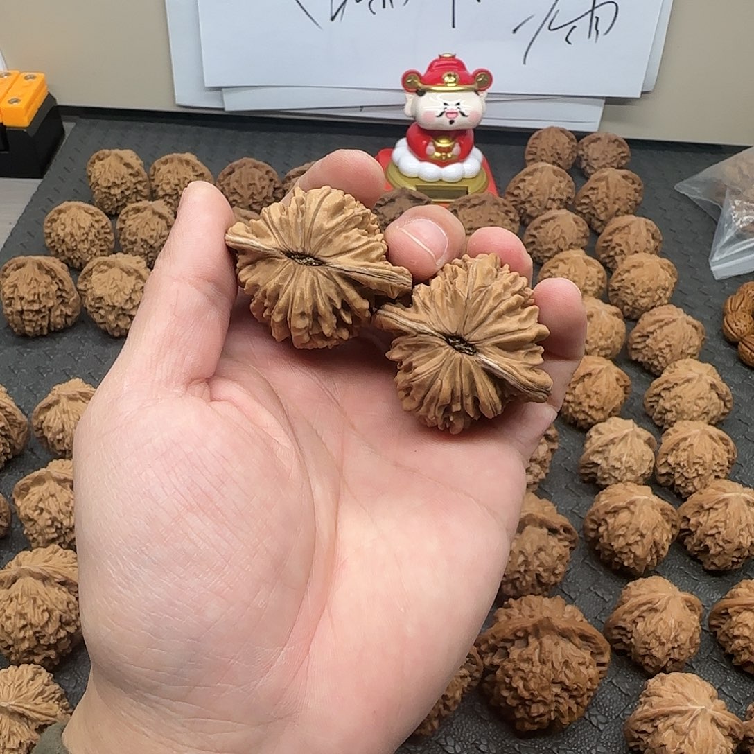 核桃哥哥哥哥哥哥哥