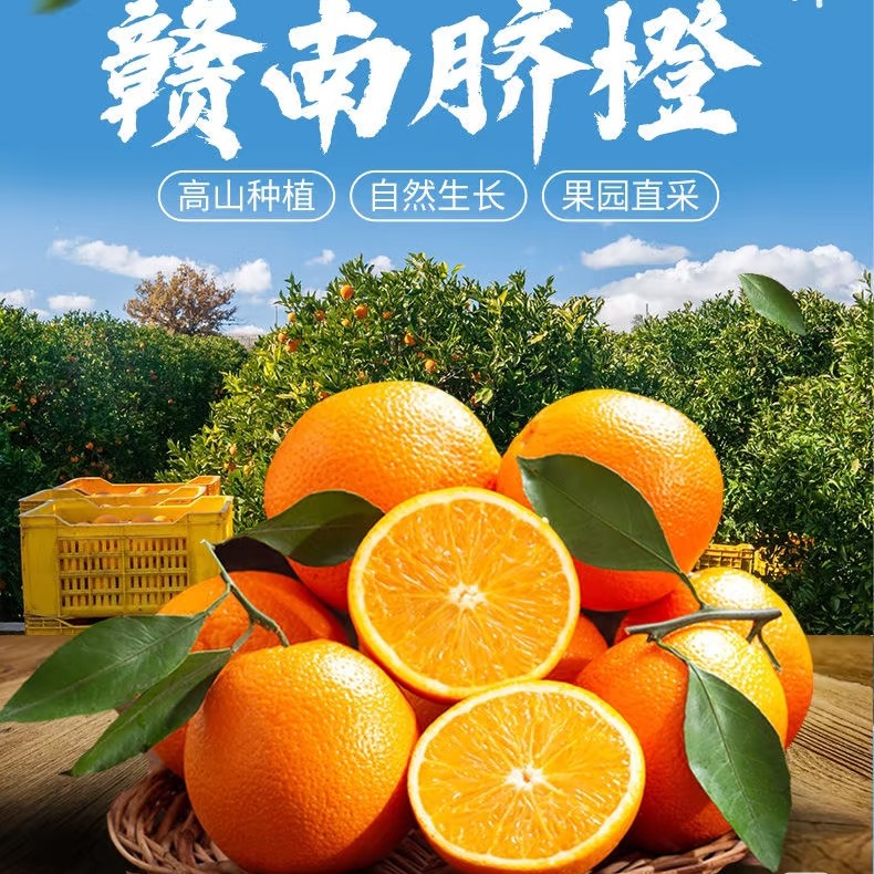 【0021S1】03现采正宗赣南脐橙果园直发带叶香甜多汁化渣安远脐橙
