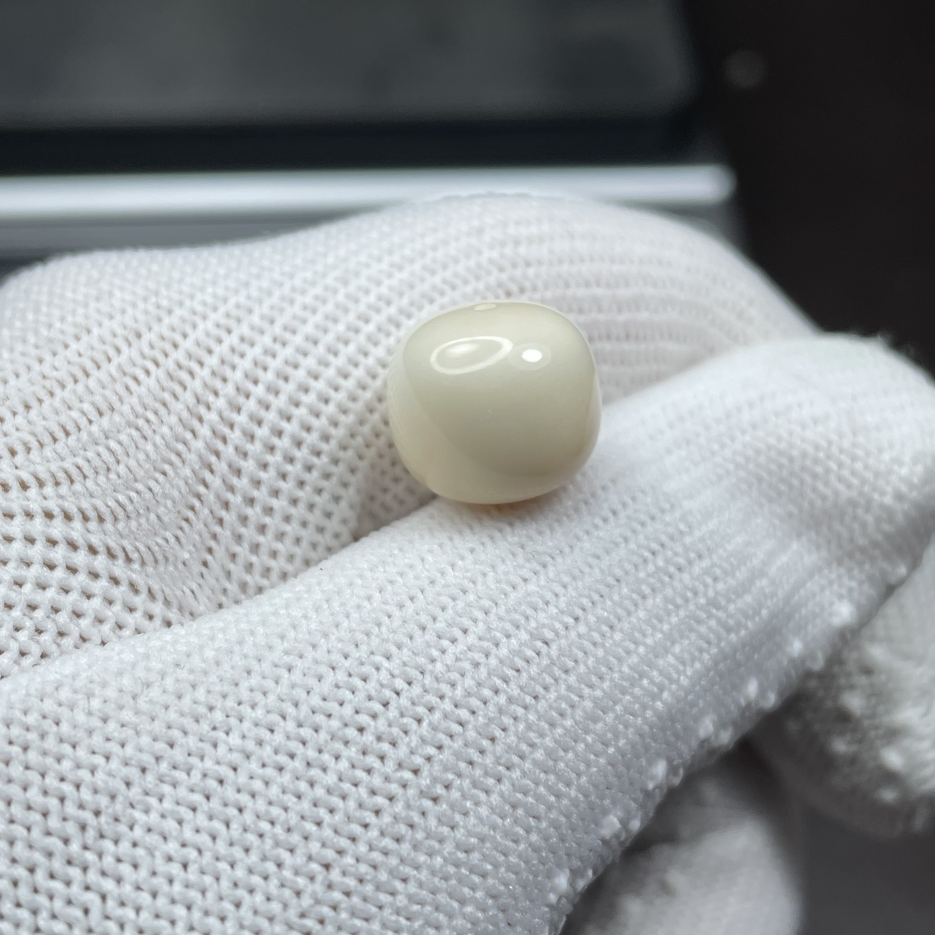 猛犸秋纯肉老型横打精品单珠 精挑秋肉