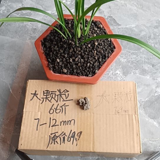 龙***ღ兰菌黑山土大颗粒6.6斤