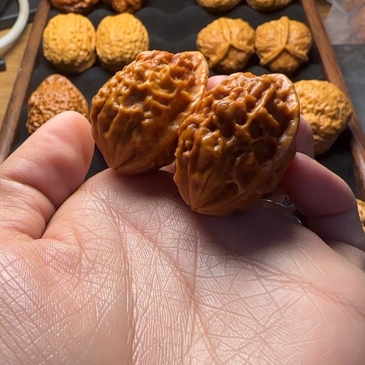 文玩核桃把件30尺甲克虫