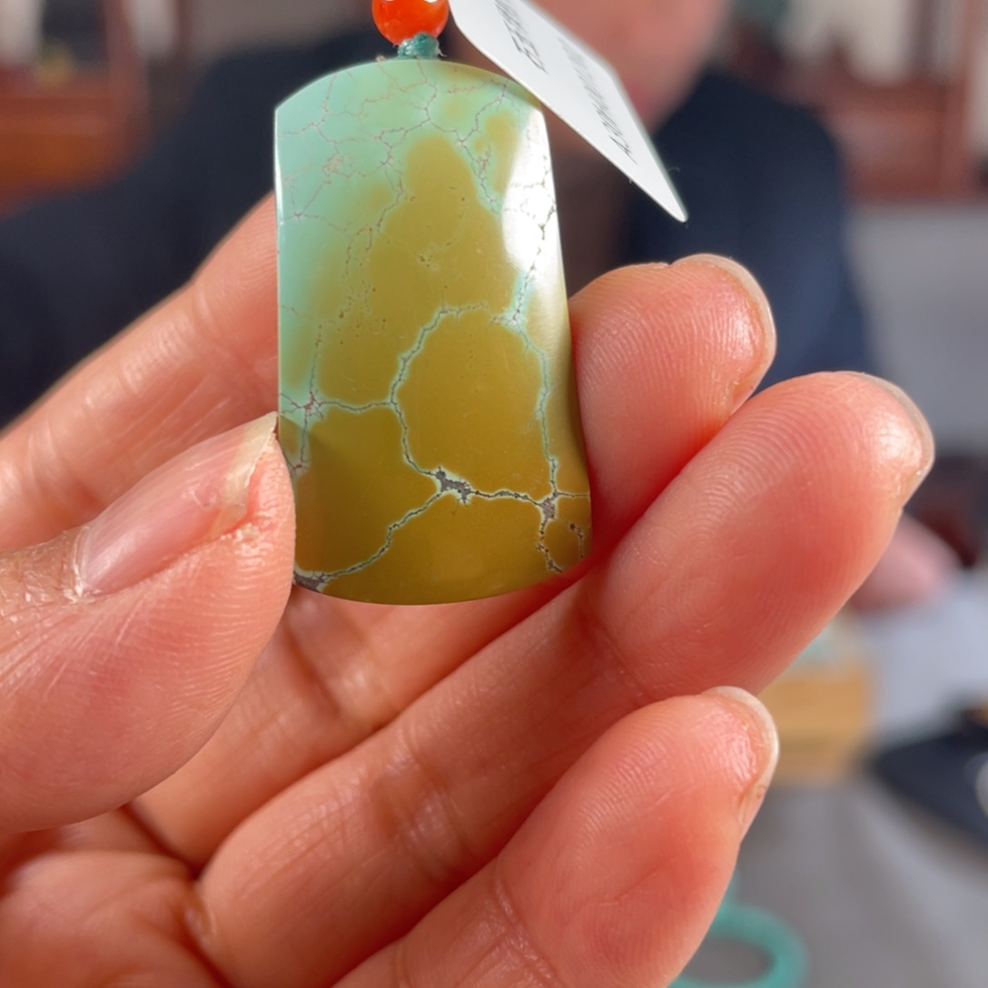 绿松石颈饰未镶嵌