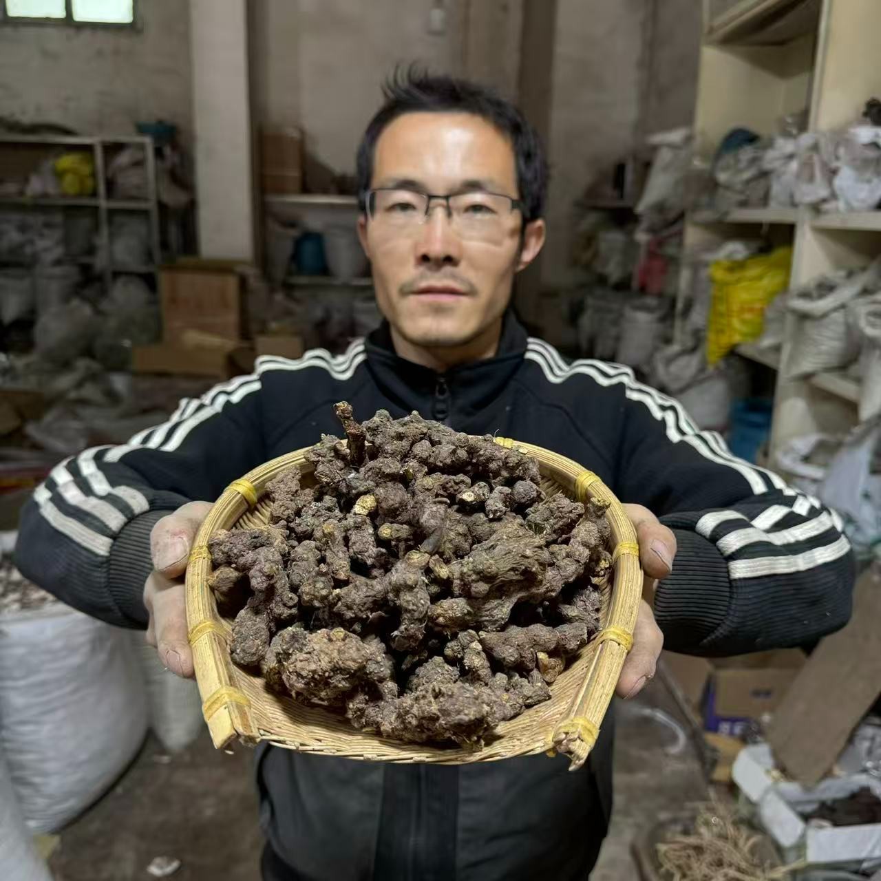 苍术 甘肃苍术野生苍术个子 无硫苍术未切片150g 