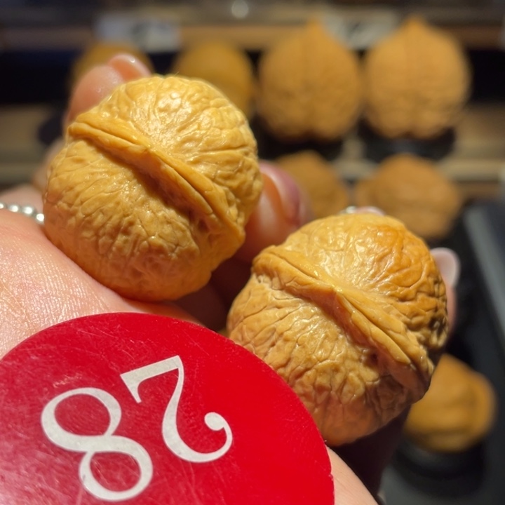 四龙珠核桃尺寸32