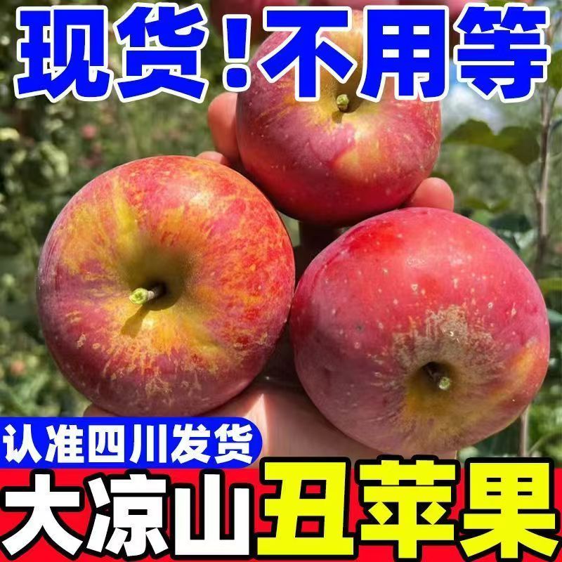 正宗大凉山冰糖心丑苹果冰糖心苹果新鲜现摘脆甜多汁水果越丑越甜