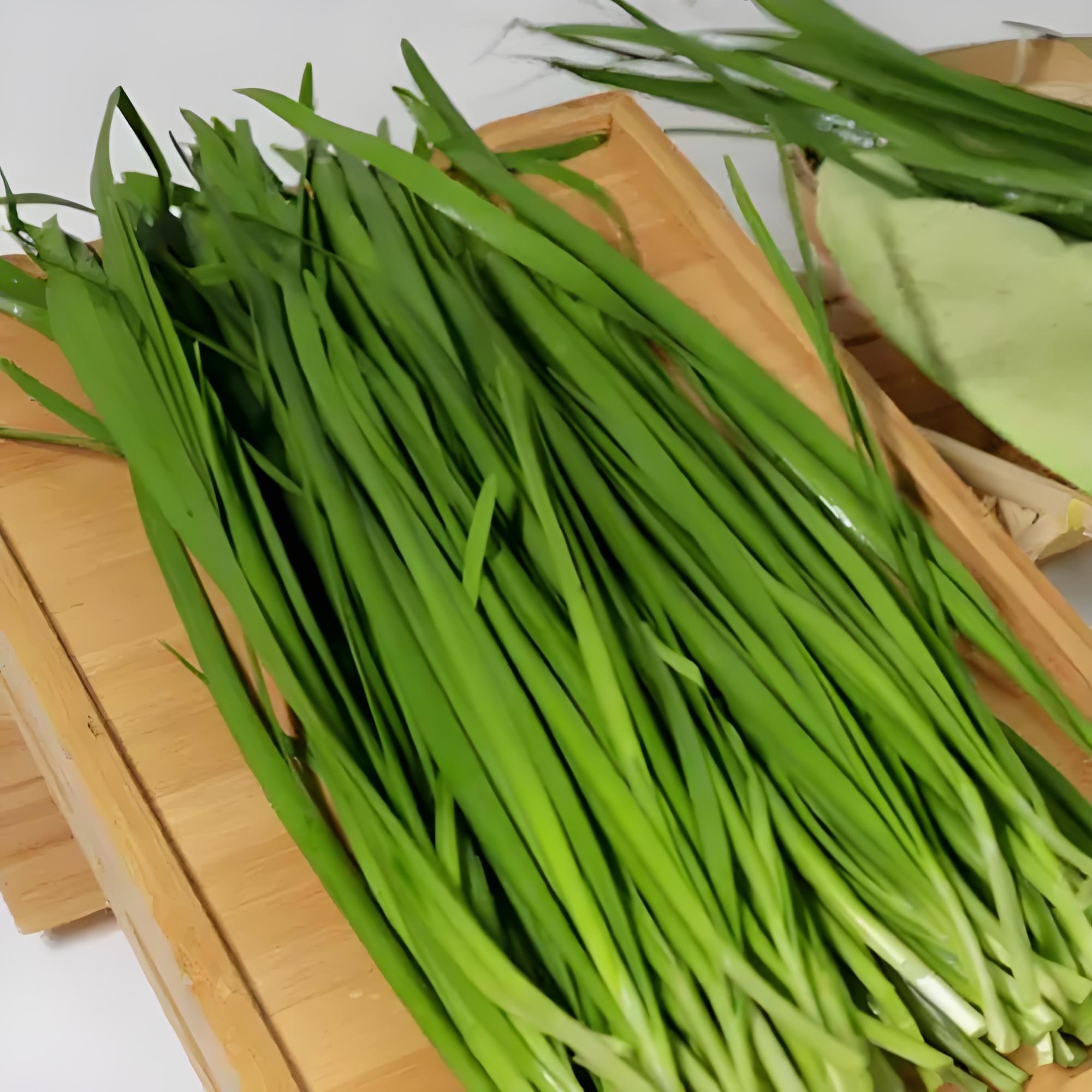 东北韭菜现割现发新鲜发货顺丰包邮