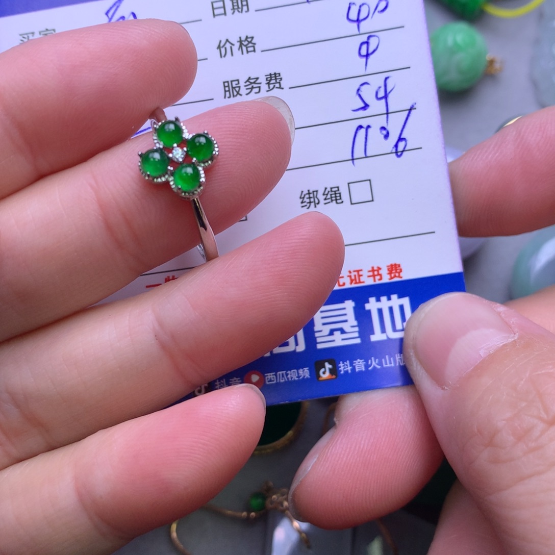 颈饰未镶嵌翡翠云