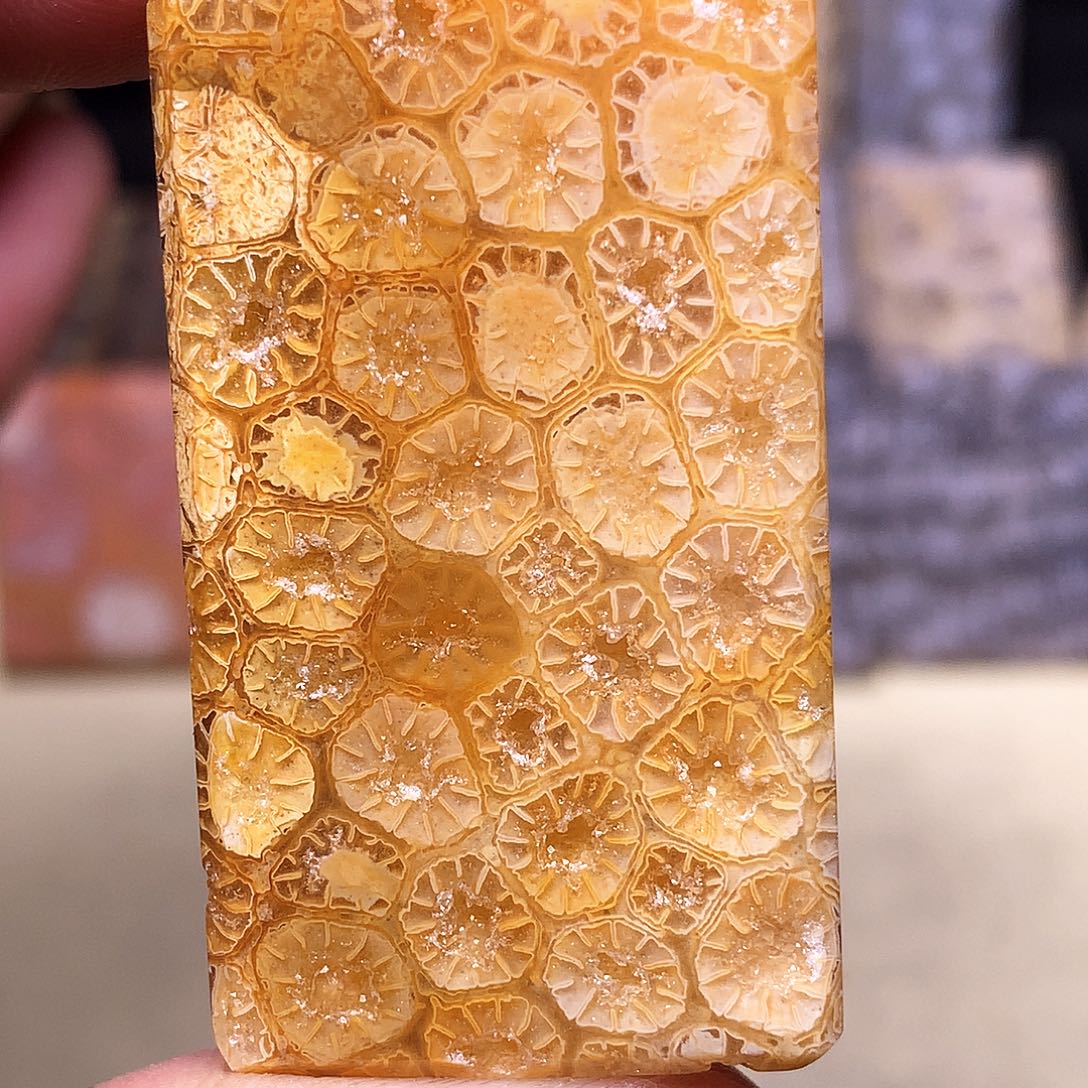 硅化玉珠宝奇石合金抹**儿