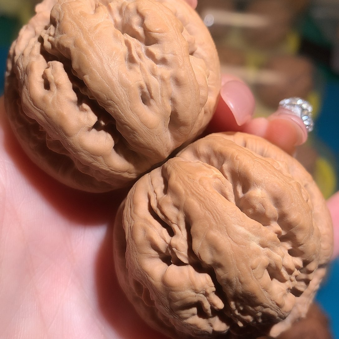 文玩核桃把件边45肚46爆肉粗筋霸王龙