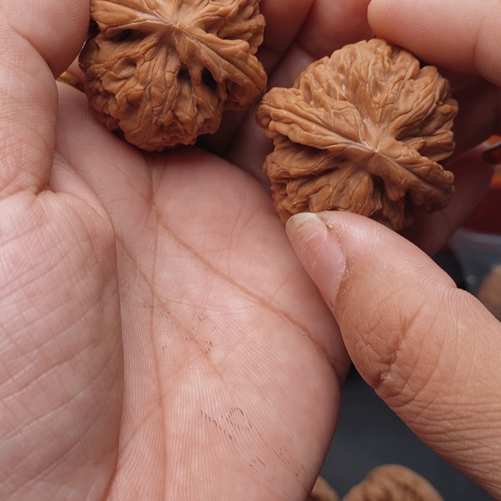 把件桃核红锦鲤39尺