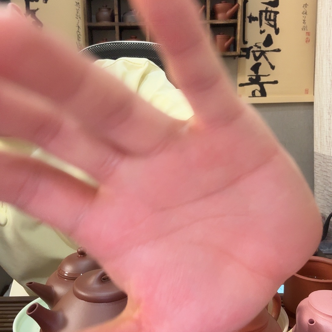 德***馆茶壶紫砂哈哈哈哈