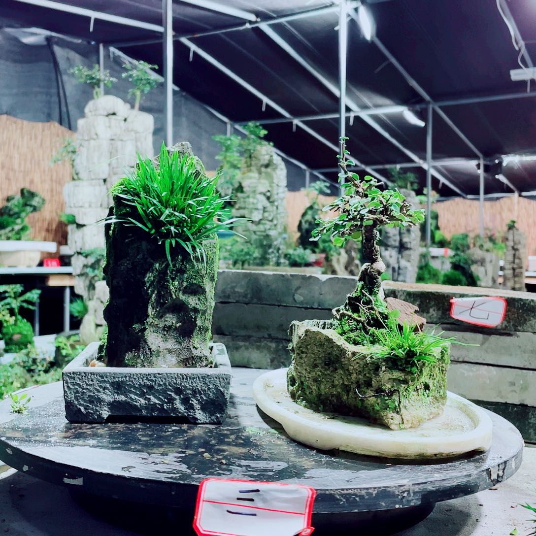 远***锋无花朵新品发布了全新升级手机游戏