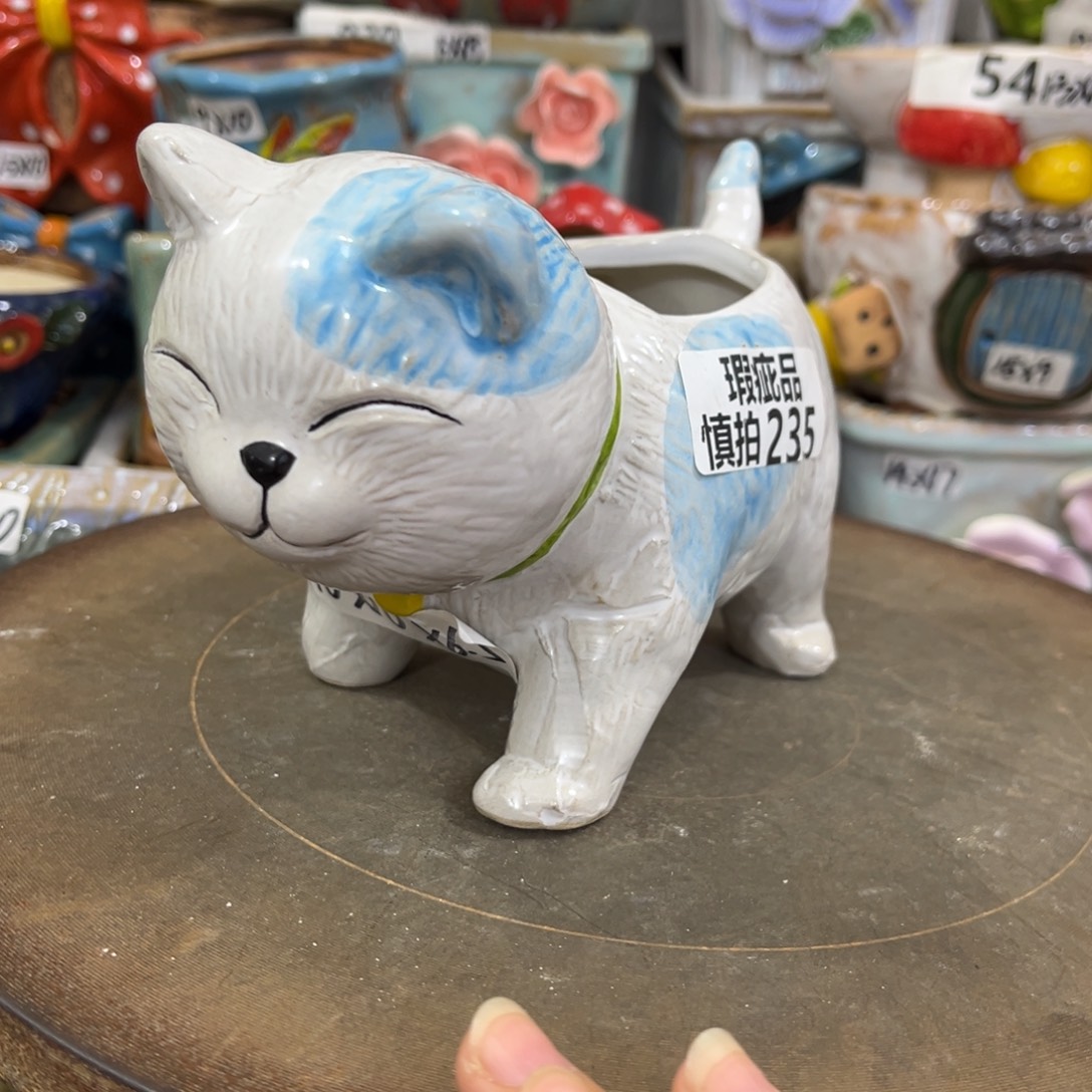 凑满15包邮发货发货