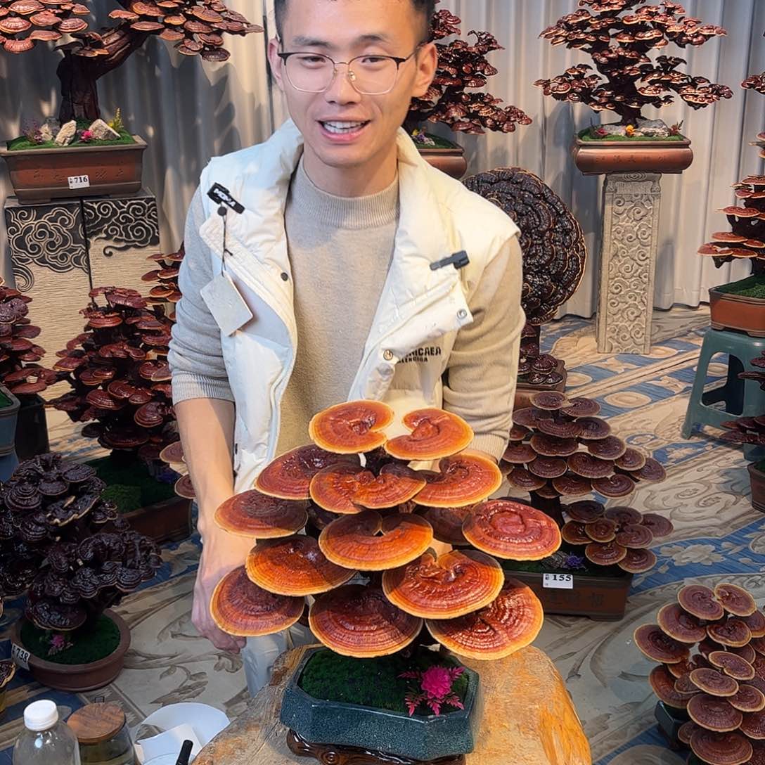 无花朵88880808888