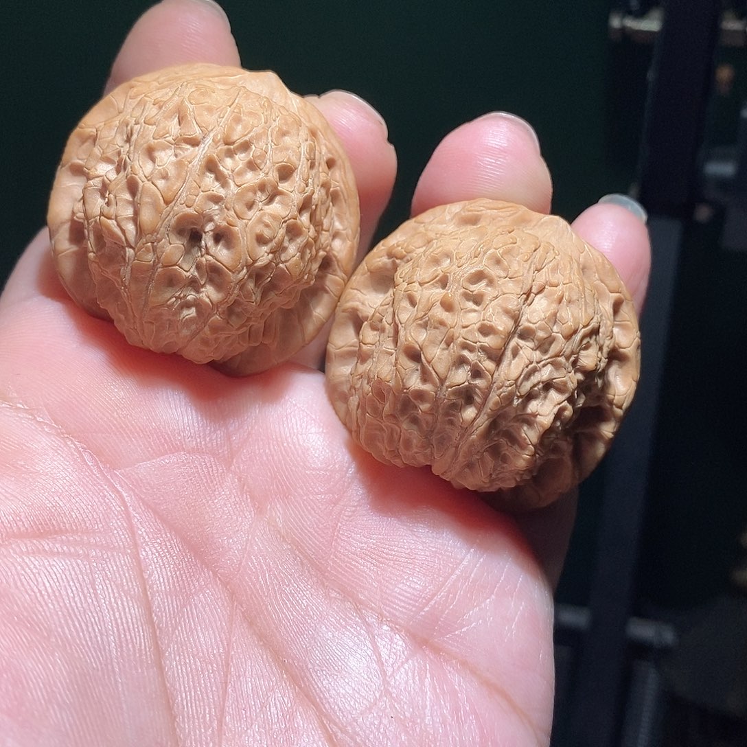 把件文玩核桃40血麒麟全品