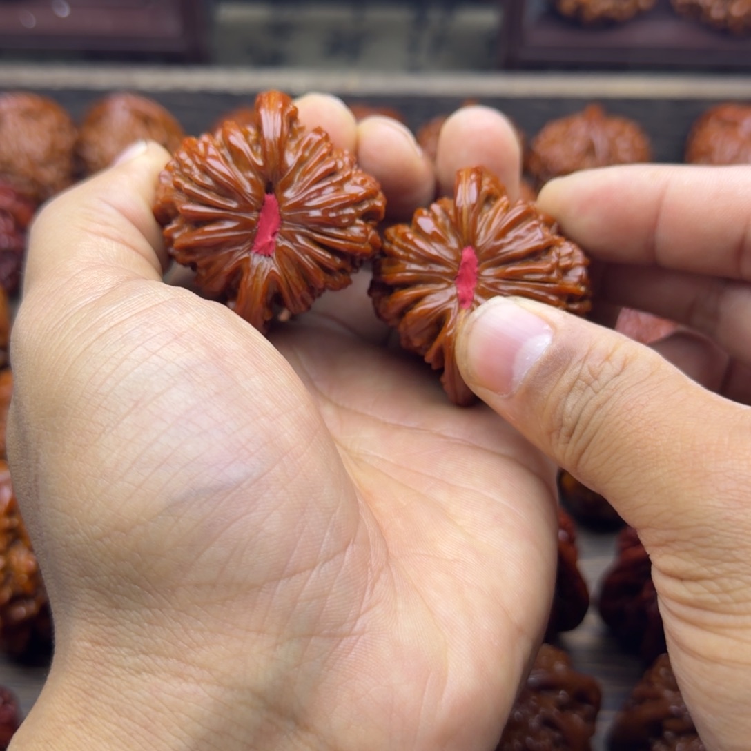 生***驴菩提籽类全品四座楼宝贝