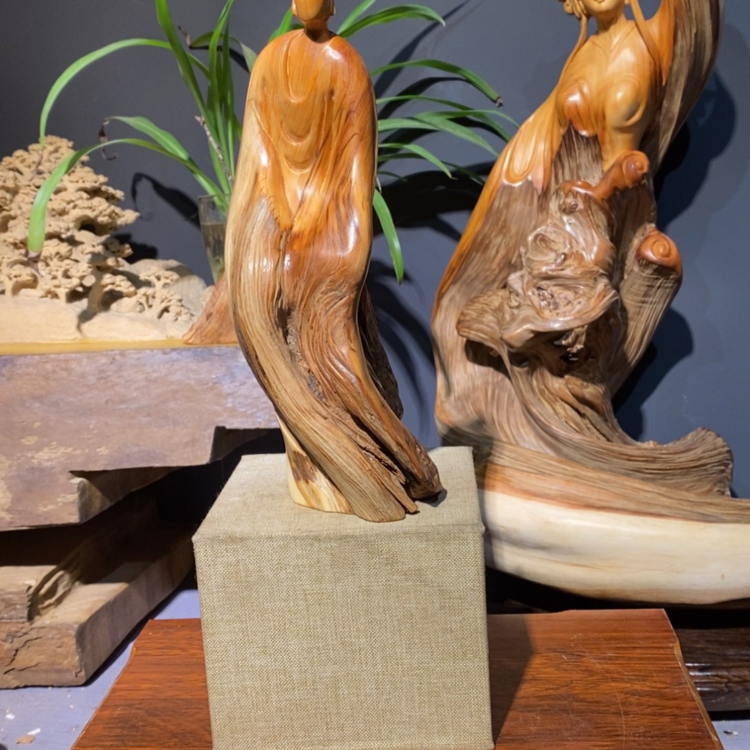 柏木太行14885523666