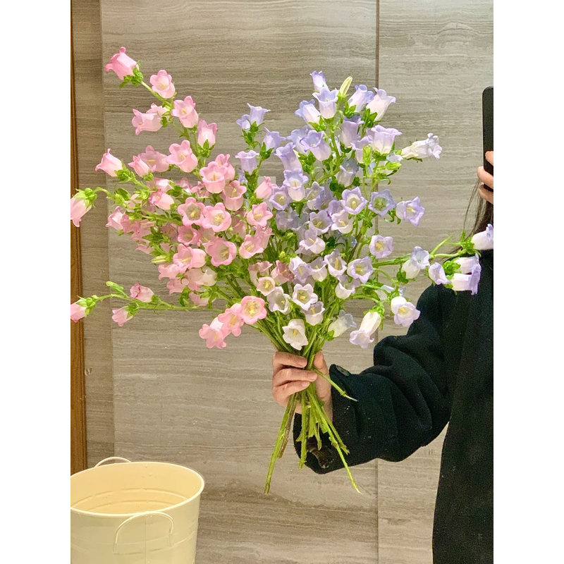 【风铃花】 一单包邮 云南鲜花昆明基地现采现发