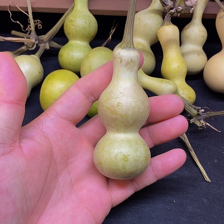 事**成长嘴哈哈哈哈哈哈哈哈哈哈哈哈哈哈哈这